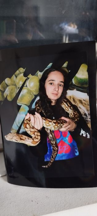 Hotel/creche incluindo exóticos e cuidados personalizados