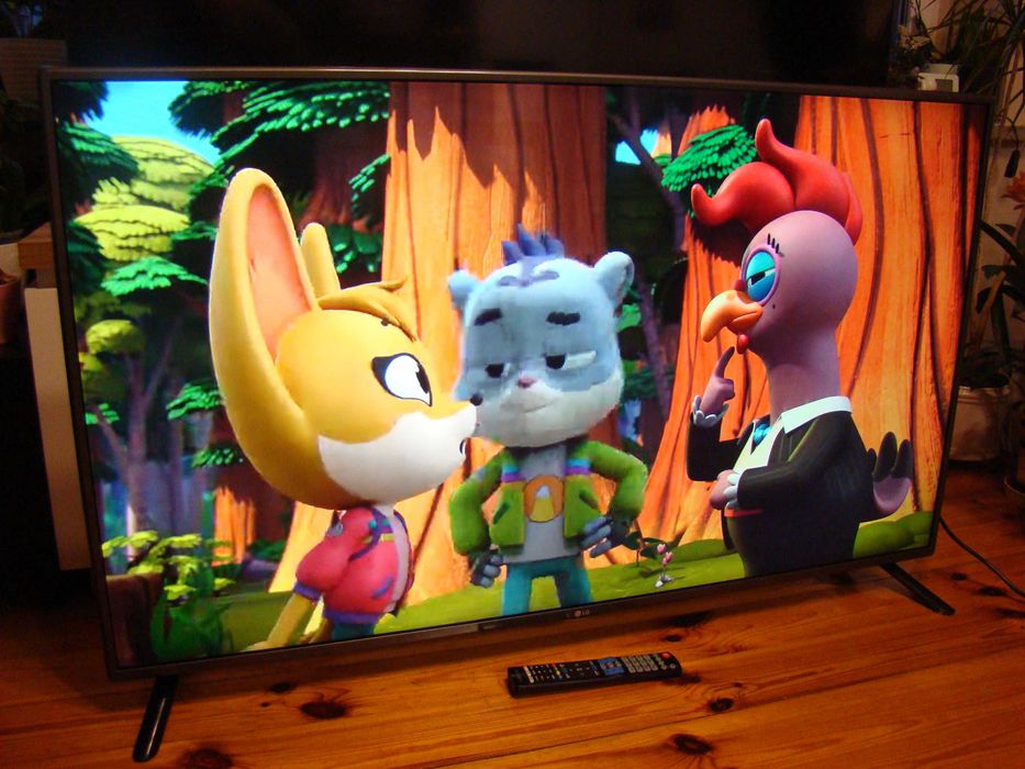 Telewizor Lg 55 cali sprawny