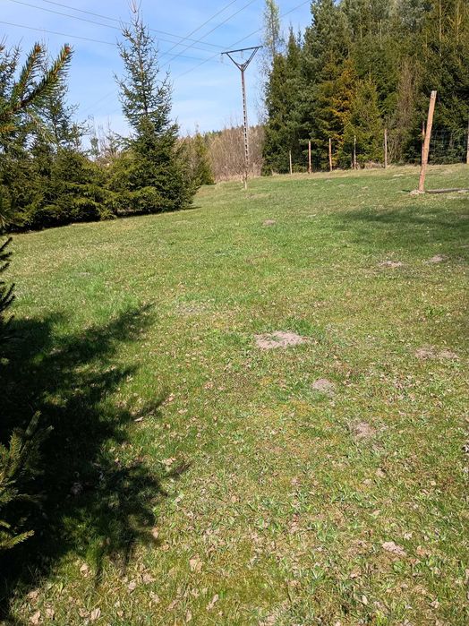 Działka budowlana obręb Jeleń.