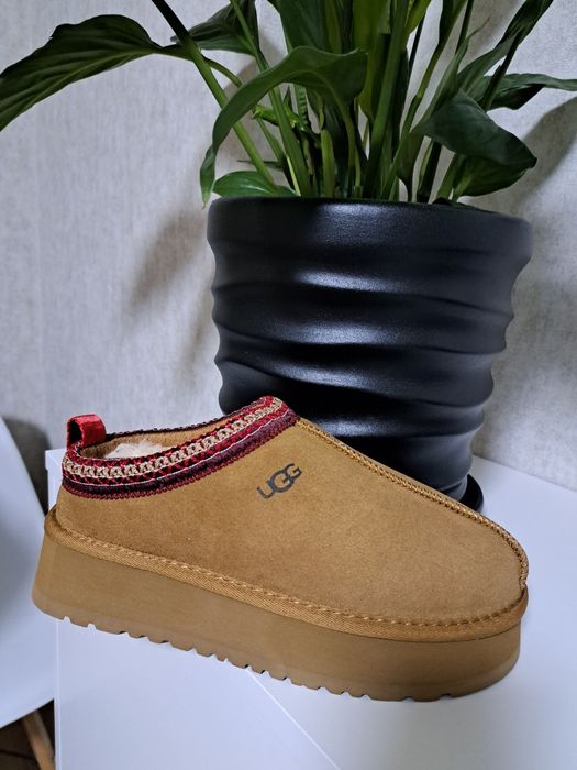 Сабо   UGG  уггі
