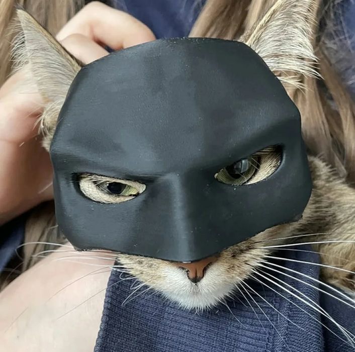 Máscara do Batman para Gato