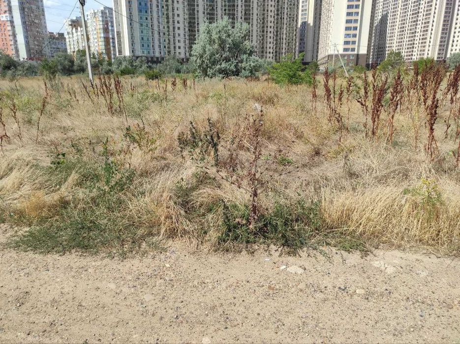 Продам участок в с. Лески на ул .Хуторской