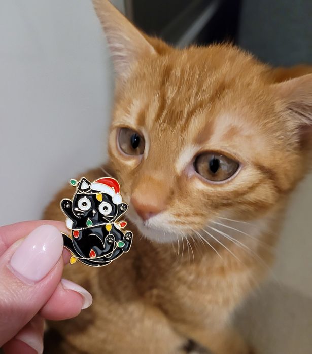 Pin broszka swiąteczna czarny kot kotek zaplątany w światełka urocza