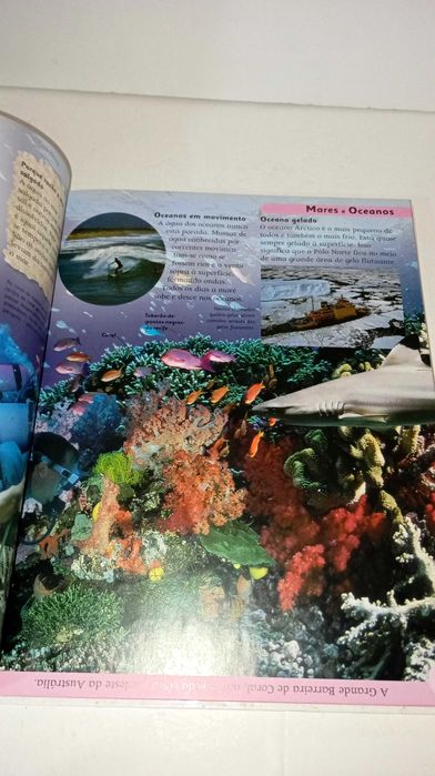 School Encyclopedia - DK64586098157827127