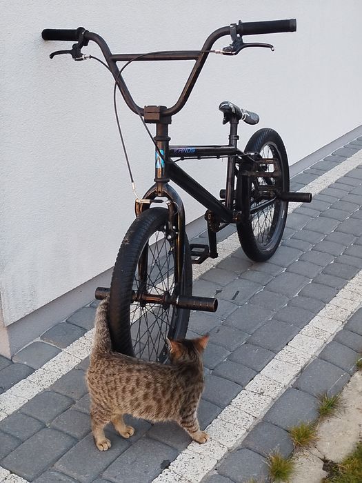 Rower BMX  20" .