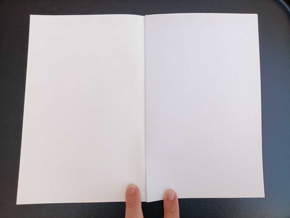 Livro "Uma Mulher Não Chora", Rita Ferro