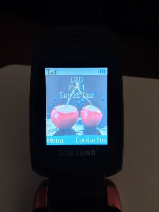 Telemóvel Samsung SGH - X510 - MEO