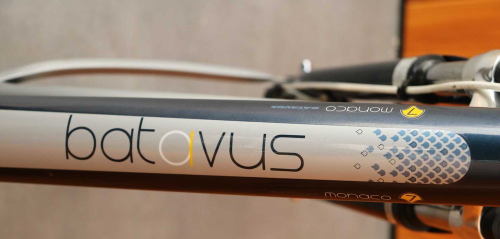 Rower damski Batavus Monaco. D 53. RATY