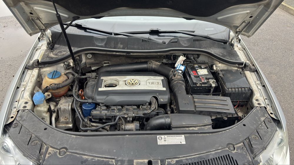 Продам Живий Passat