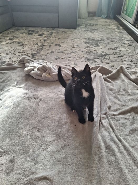 Хлопчик в хороші руки