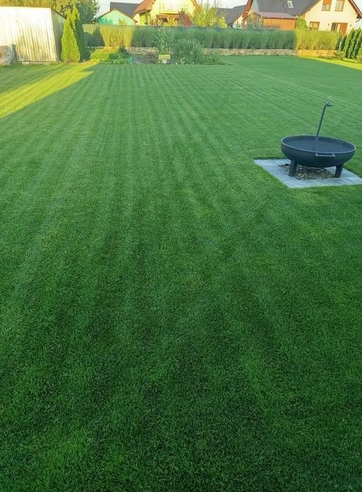 Aerator rurkowy wynajem tłokowy Weibang Camon wertykulator spalinowy