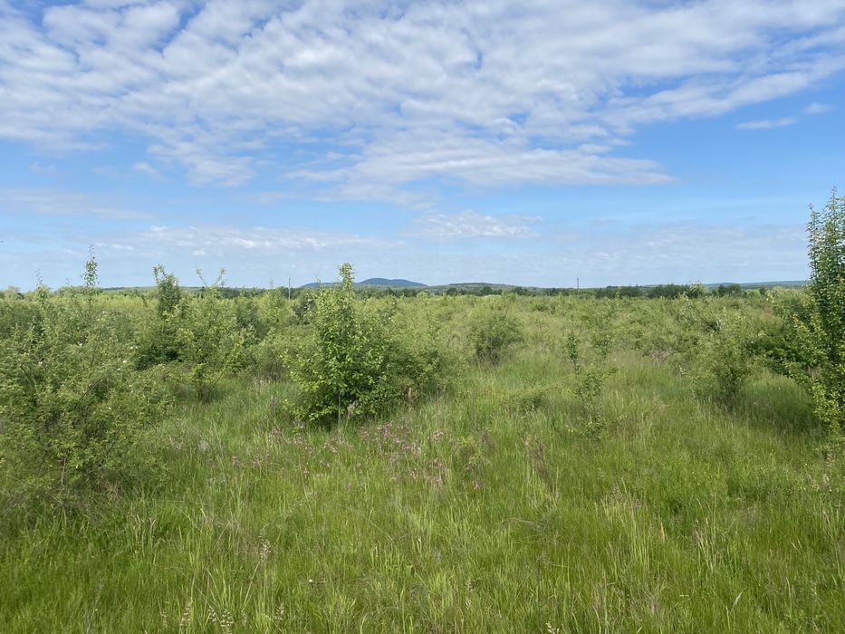 Земельна ділянка для промисловості 8 га