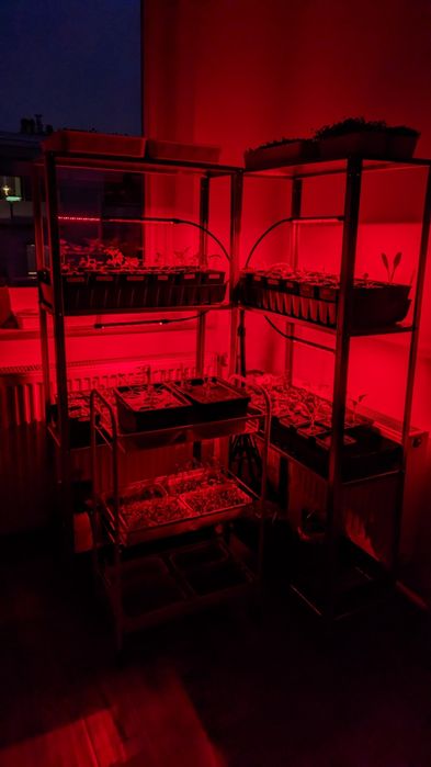 Lampy LED do uprawy roślin