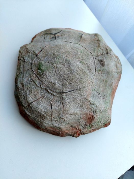 SEPTARIA Kamień Minerał Naturalny #97