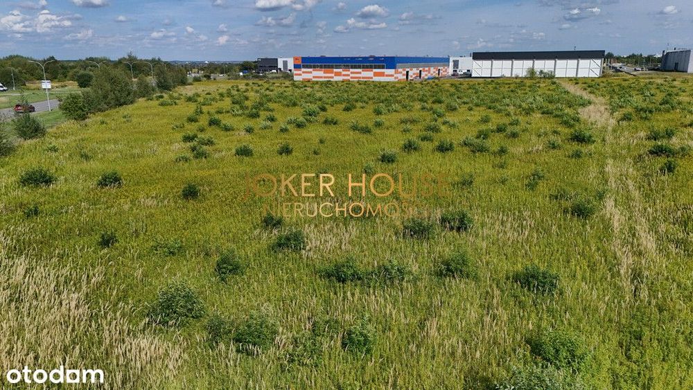 Ekspozycyjna, duża działka 1,8ha- Strefa Dworzysko - Widok 3