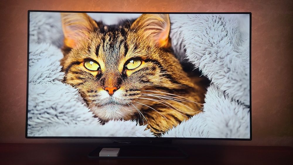 Телевізор Philips 55PFL8008S/12