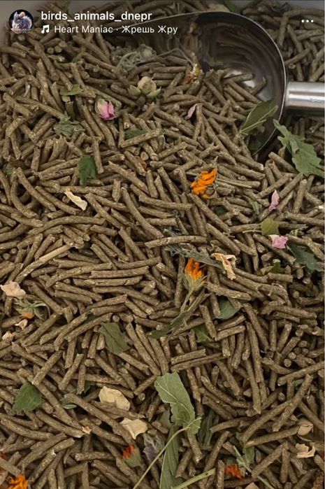 Корм для грызунов шиншилл