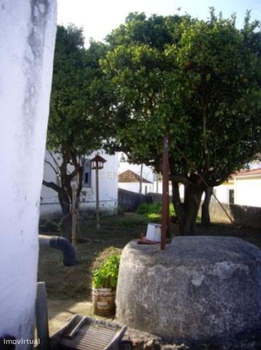 Ruína com Potencial em Moçarria, Santarém