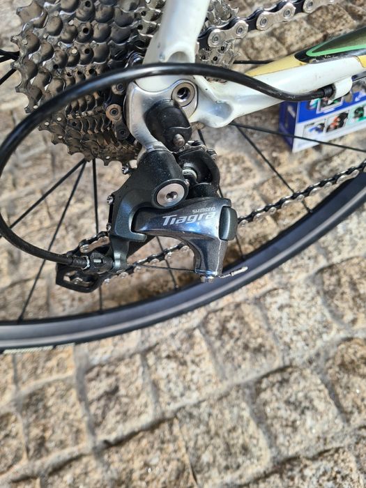 Bianchi Nirone ALU CARBON celeste