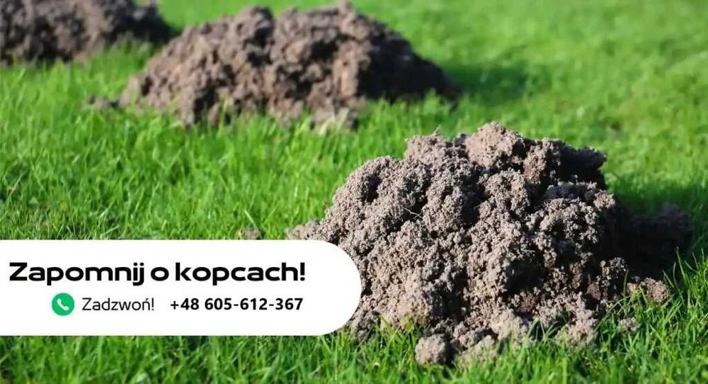 Zwalczanie szkodników glebowych i magazynowych