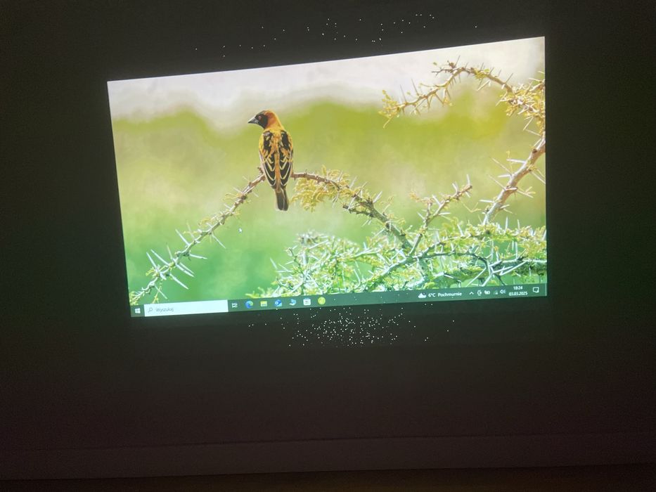 Projektor Nec np 216