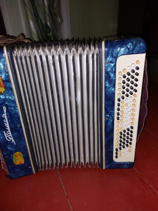 Баян       Полісся