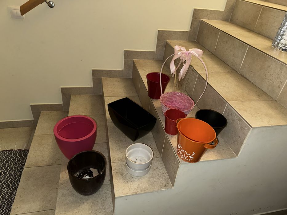 Vasos plantas variados