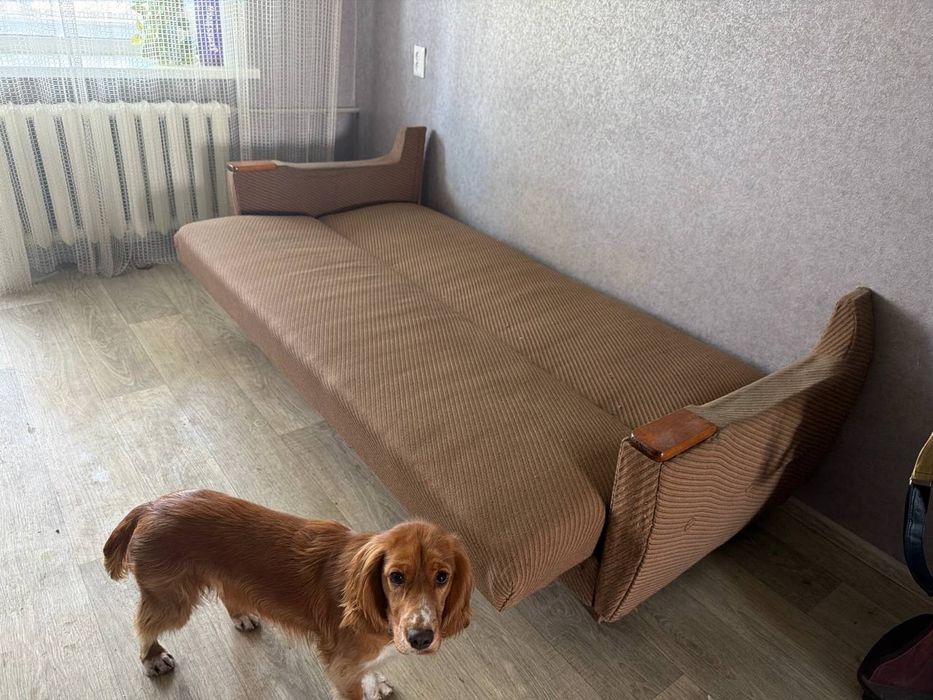 Диван продам в гарному стані