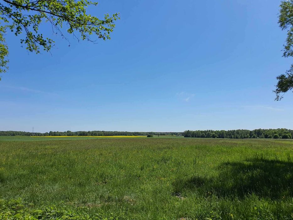 Działka  1500 m2  W.Z.