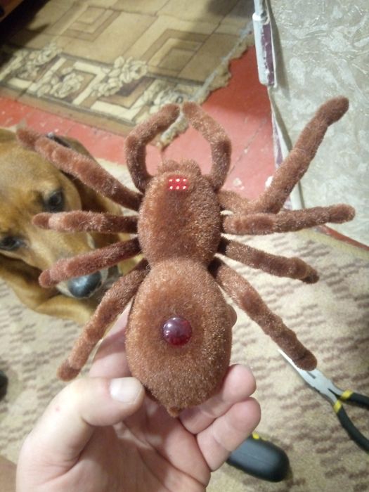 Игрушка паук на радиоуправлении