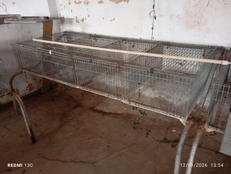 Jaulas /para coelhos