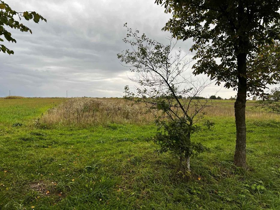 Продається добротній будинок з великою земельною ділянкою