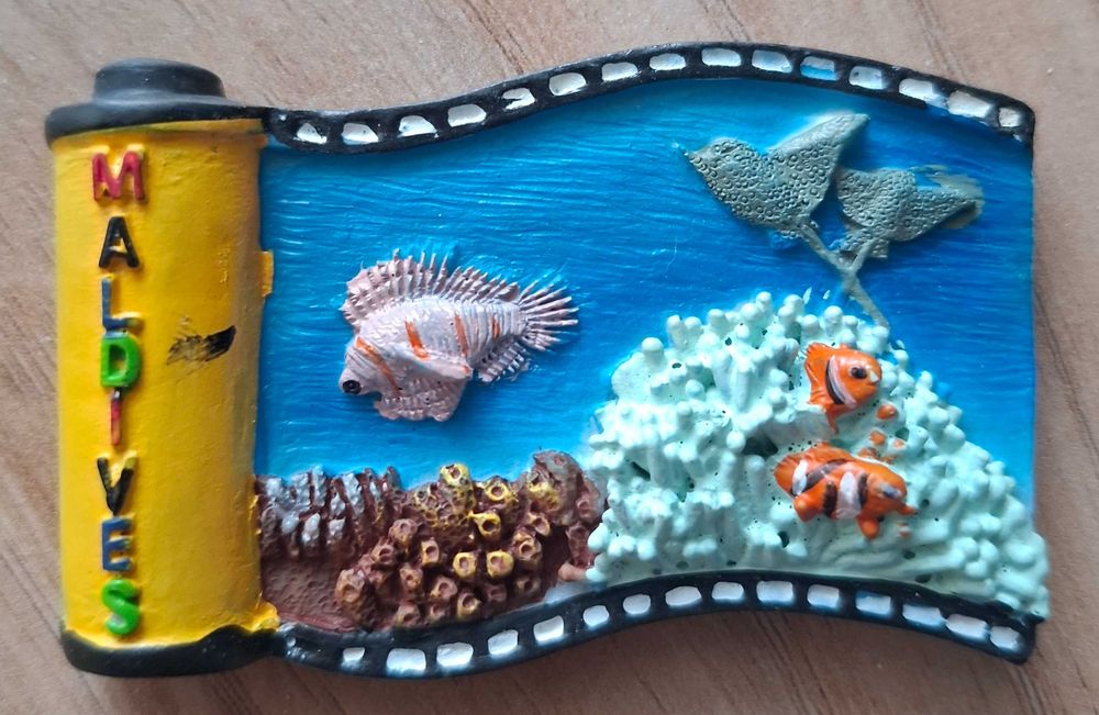 Magnes na lodówkę z podróży