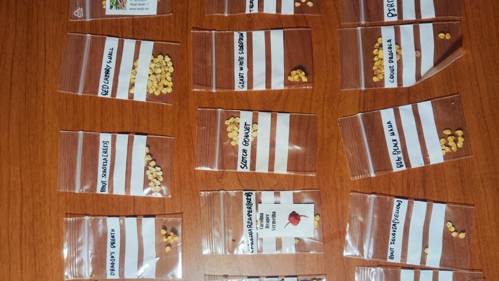 Pimentas atómicas (32 variadades)