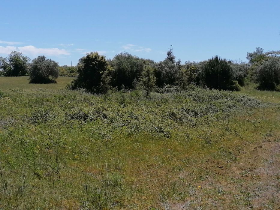 Terreno Rústico 2440m2 com água e luz
