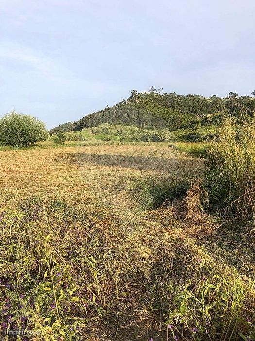 Terreno  para venda