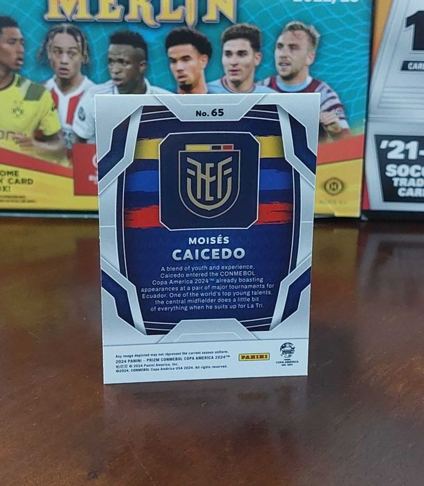 Moises Caicedo - Ecuador