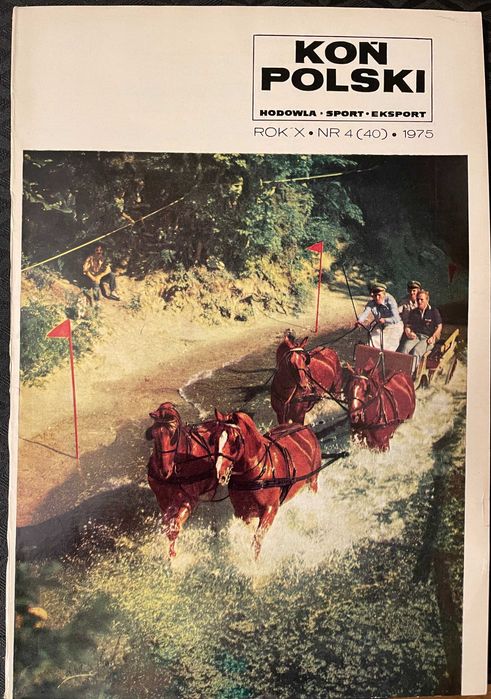 Koń Polski. Rocznik 1975