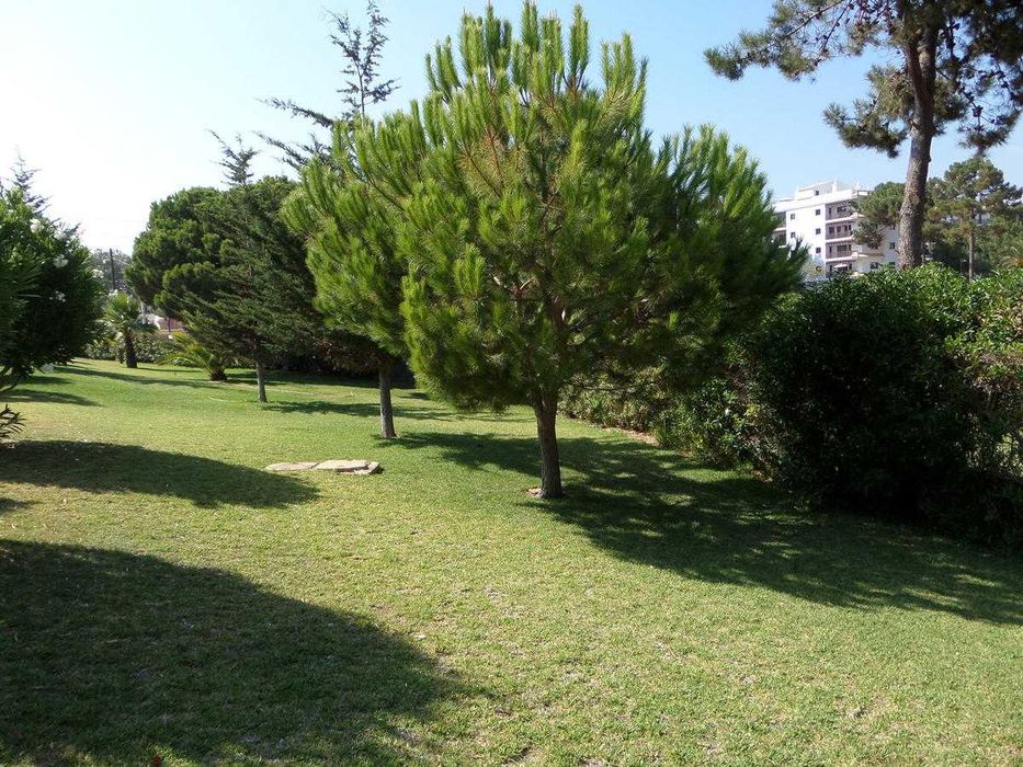 Apartamento T0 com piscina na Aldeia da Falésia – SETEMBRO APENAS