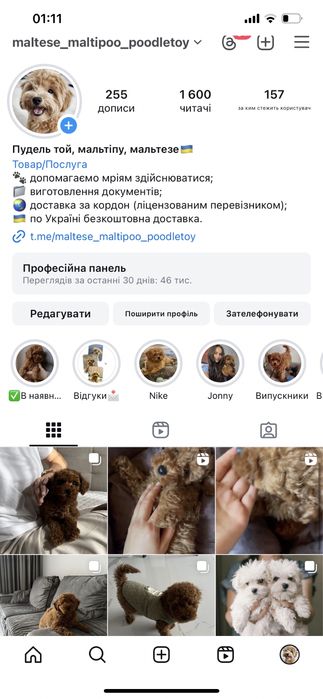 Малюки той пудель