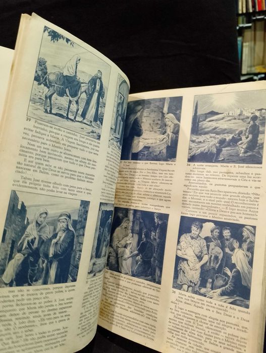 Nossa Mãe, Nossa Rainha 1954 Agnès Richomme