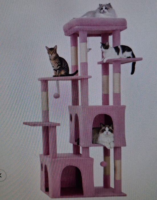 Arranhador para gatinhos