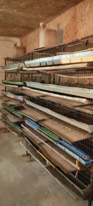 Продам клітки для перепелів