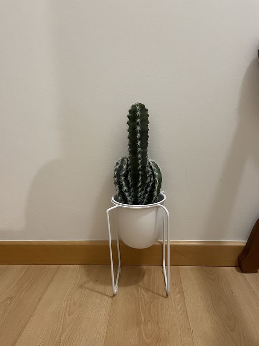 Vaso com cacto falso novo