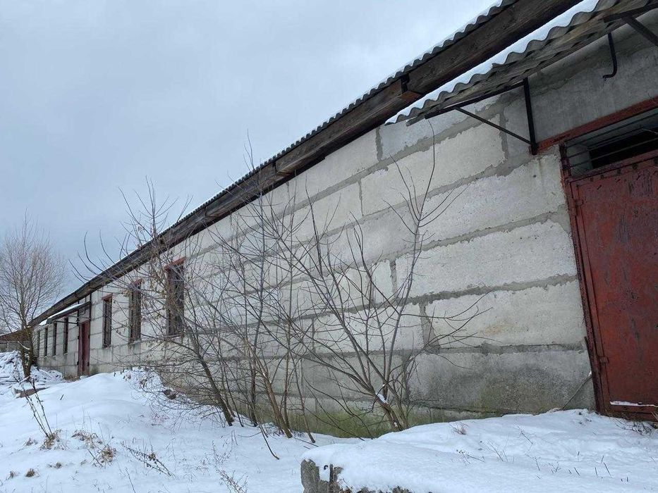 Деревообробне господарство в 50 км від Києва