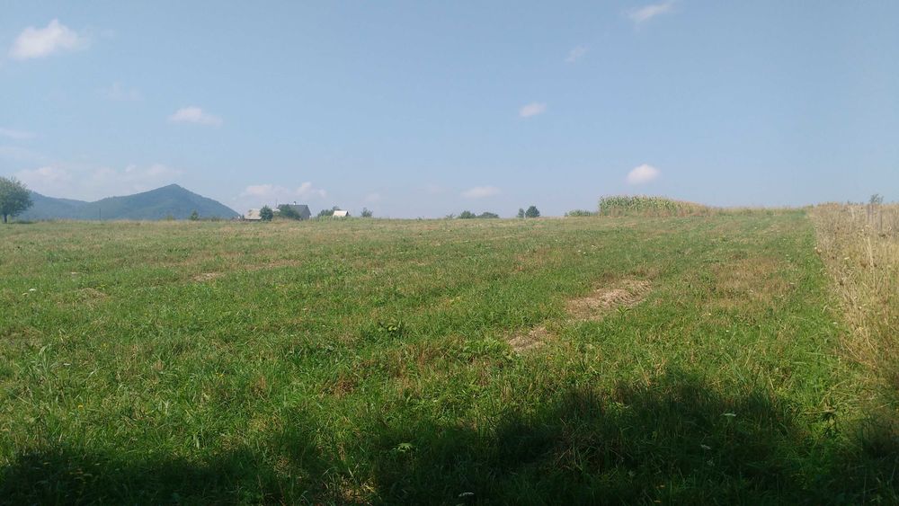 Земельна ділянка