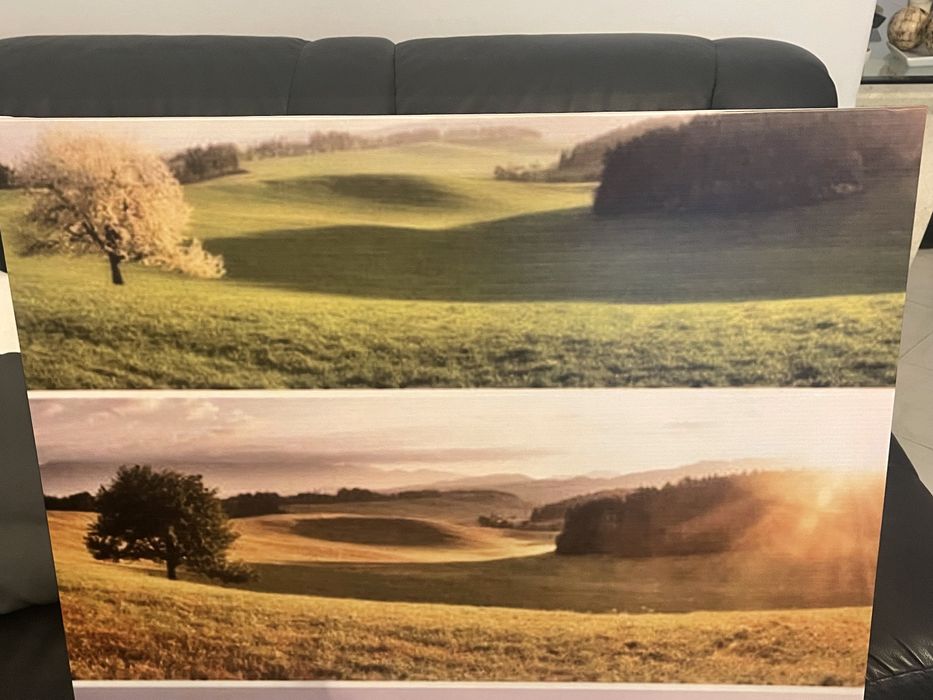 Tela 4 estacoes (mesmo local)