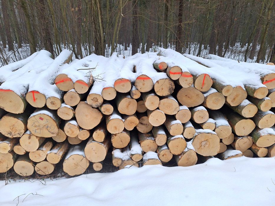 Sprzedam drewno opałowe/kominkowe od 230 pln