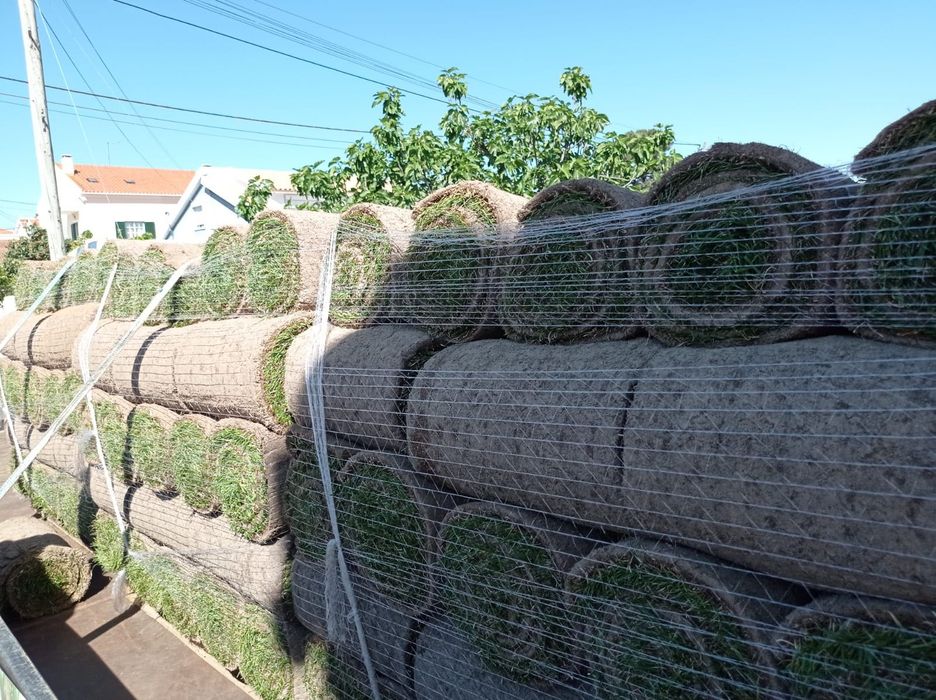 Jardim manutenção e construção