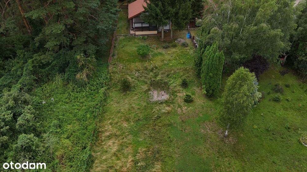 dom nad jeziorem przy lesie